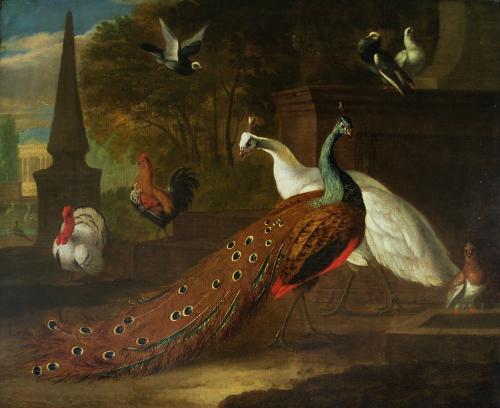 Peacocks and other fowl in a classical parkland